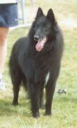 Sr. pozzo du Prat des Loups
