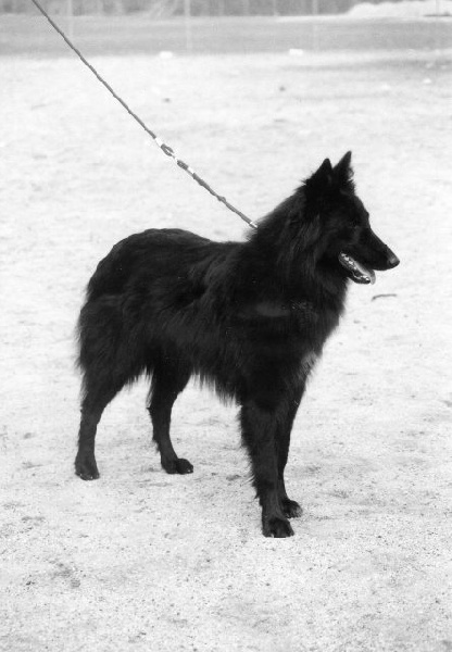 Nereis du Prat des Loups